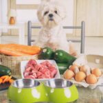 BARF hrana za pse kao prirodan pristup prehrani